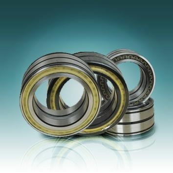 Double row cylindrical roller bearings SL184964