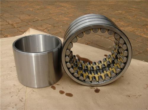 Cylindrical Roller Bearing FCD166216710