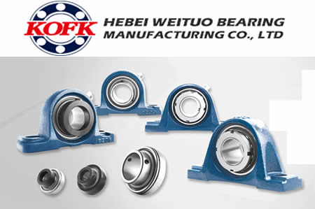 HEBEI WEITUO BEARING MANUFACTURING CO.,LTD