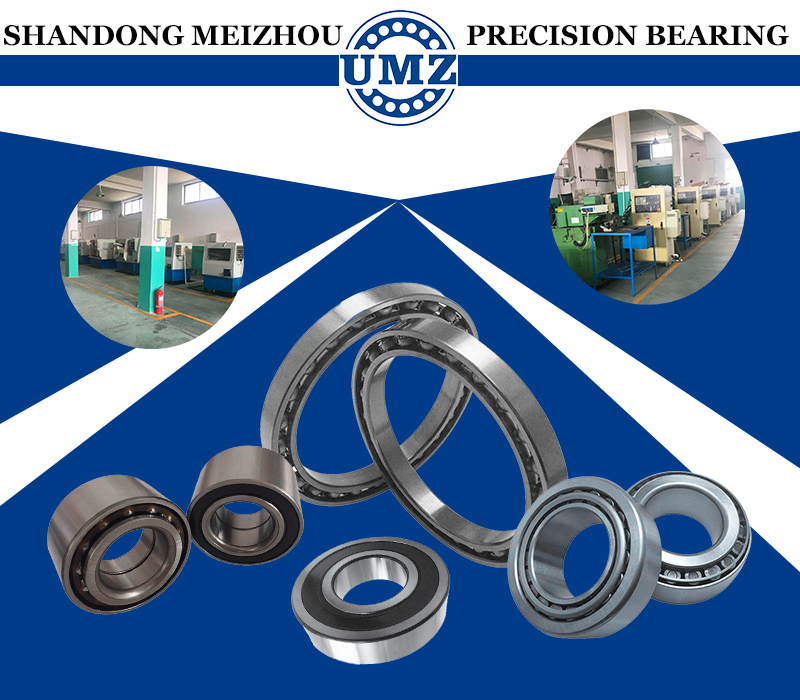 SHANDONG MEIZHOU PRECISION BEARING CO., LTD.