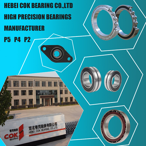 SHANGHAI COK BEARING CO.,LTD