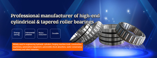 DALIAN HUAYANG JINGGONG BEARING MANUFACTURING CO.,LTD