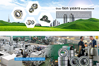 LINQING BOJIE BEARING CO., LTD.