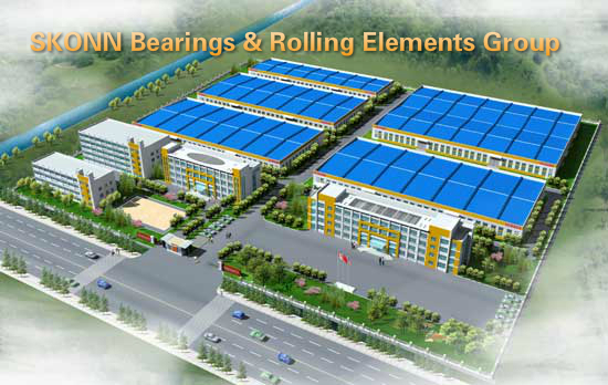 CHANGZHOU SKONN BEARINGS & ROLLING ELEMENTS CO LTD