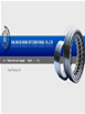 DALIAN BEARING INTERNATIONAL CO.,LTD