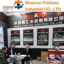 SHAAN XI FORTUNE INDUSTRIAL CO., LTD.