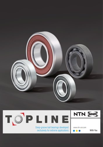 SNR bearings (France) (Authorized distributor in China)